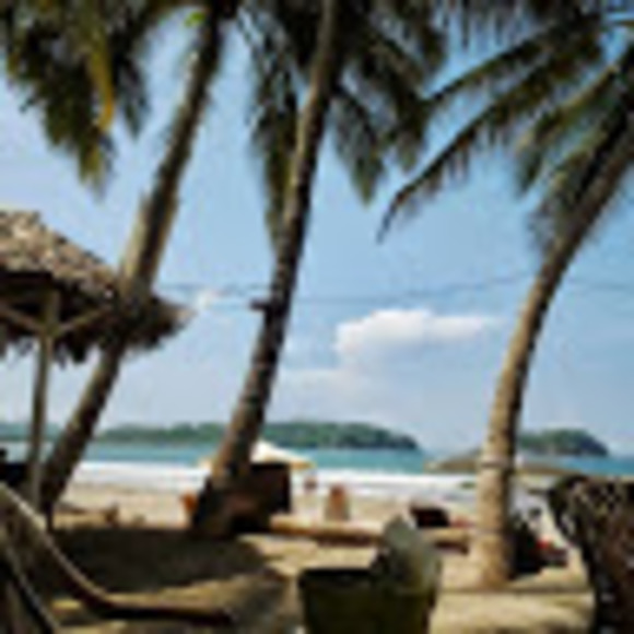 Meet your Posher, Linda - Picture 1 of 1